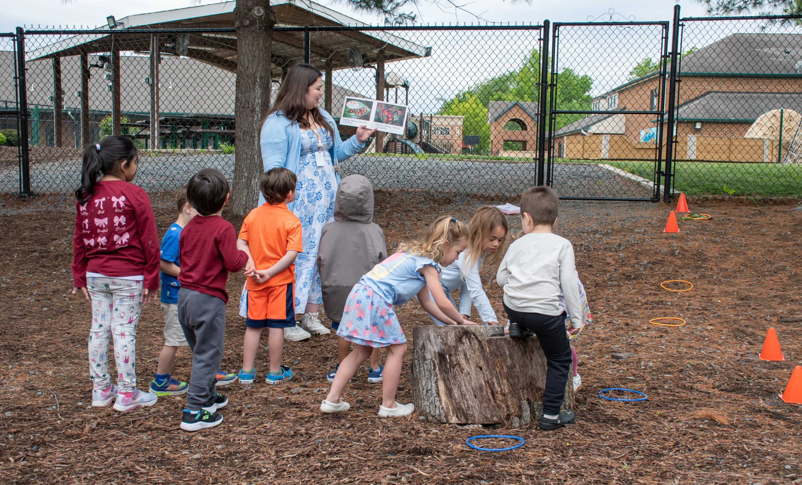 A teacher holding an open picture book while a group of young children gather around her and a tree trunk on an outdoor playground.
